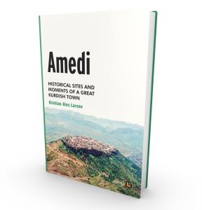 AMEDI AMEDI